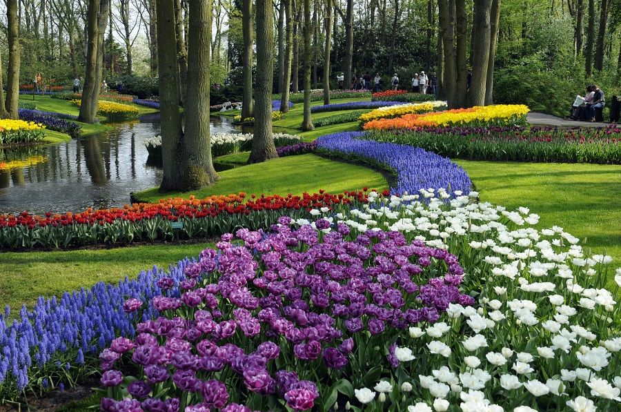 film_keukenhof.jpg