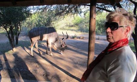 film_sa_kudu.jpg